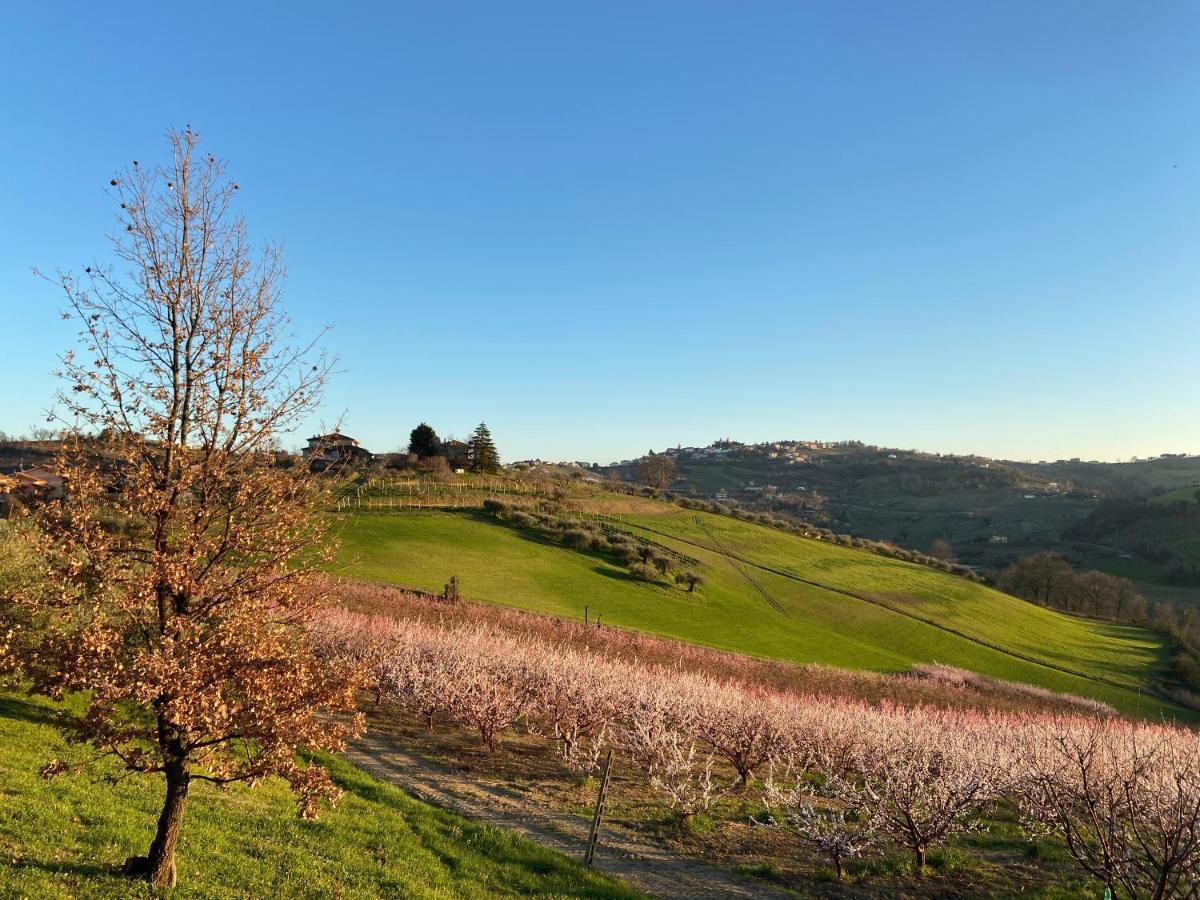 Alojamento de Acomodação e Pequeno-almoço Poderino - A Place To Feel Cento (Forli-Cesena)