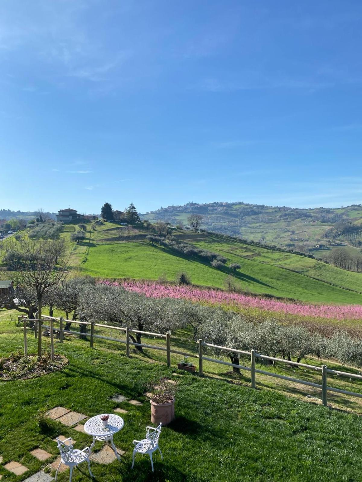 Poderino - A Place To Feel * Cento (Forli-Cesena)